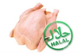 Halal Chicken