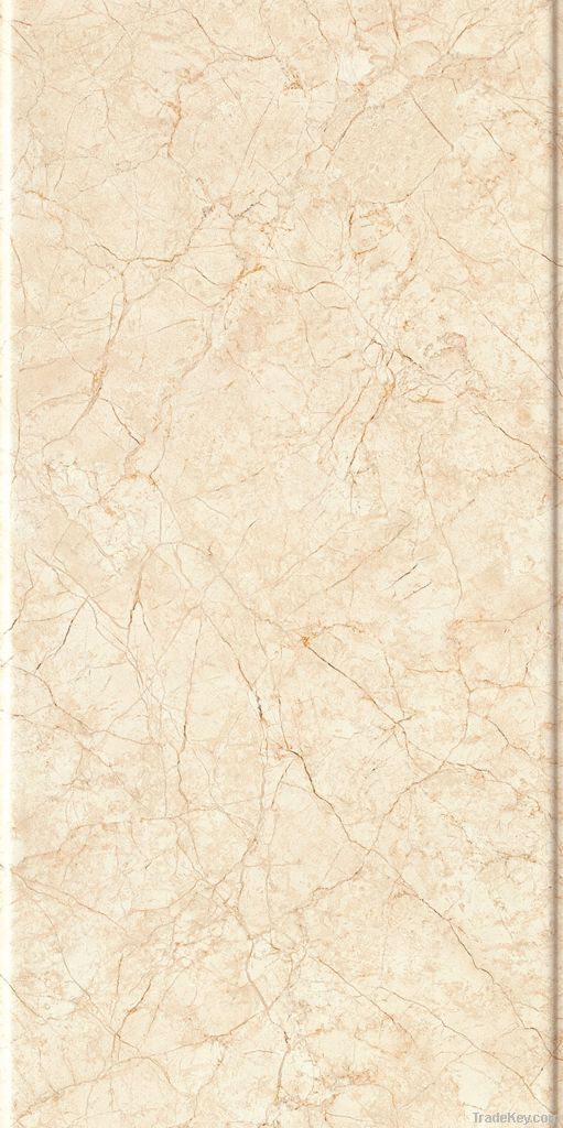 Wall tile Inkjet tile