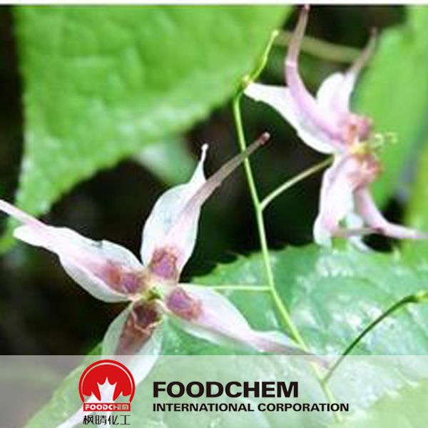 HPLC Shorthorned Epimedium Herb Extract