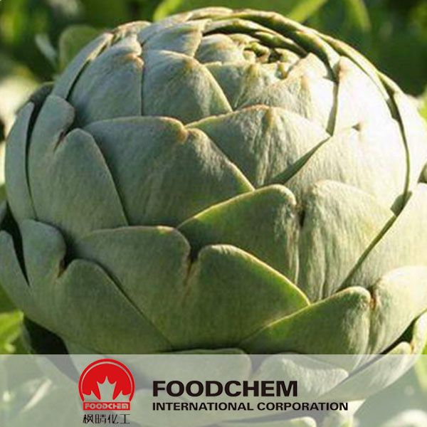 High Quality Artichoke Leaf Extract Cynarin