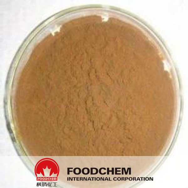 Top Quality Bamboo Leaf Extract 10:1