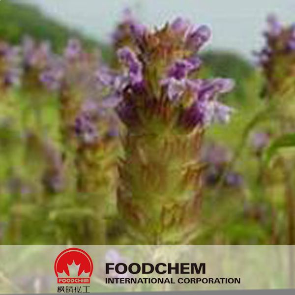 Peanut Shell Extract Luteolin 98% Powder