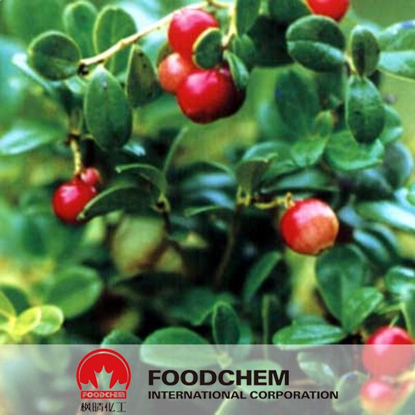 Alpha Arbutin Bearberry Extract