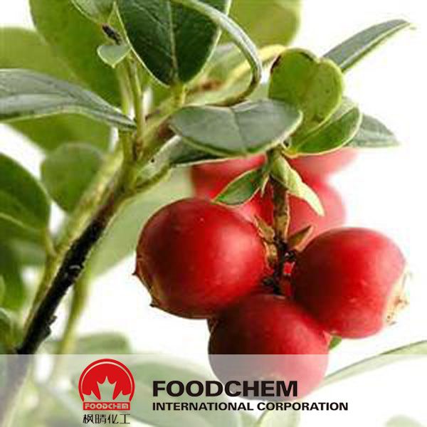 Cranberry Extract Powder