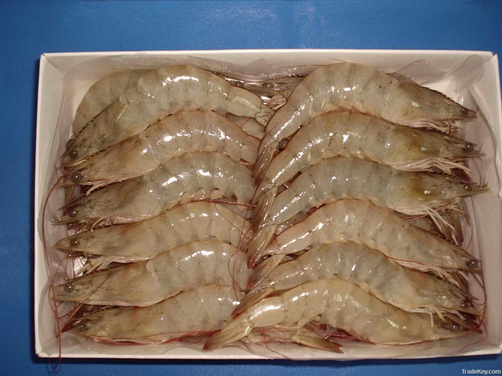 Frozen Vannamei Prawns