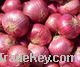 fresh yellow onion, fresh  red onion