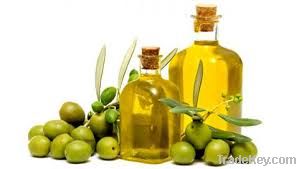 Refined olive oil