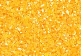 corn grains 