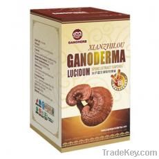 Ganoderma lucidum spore extract capsule