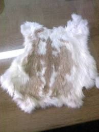 Fox Fur Leather