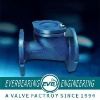 Cast Iron Flange Ball Check Valve