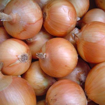 FRESH RED/ BROWN/WHITE ONION