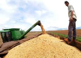 Farms Lands, Business of soybeans, corn, cotton etc.