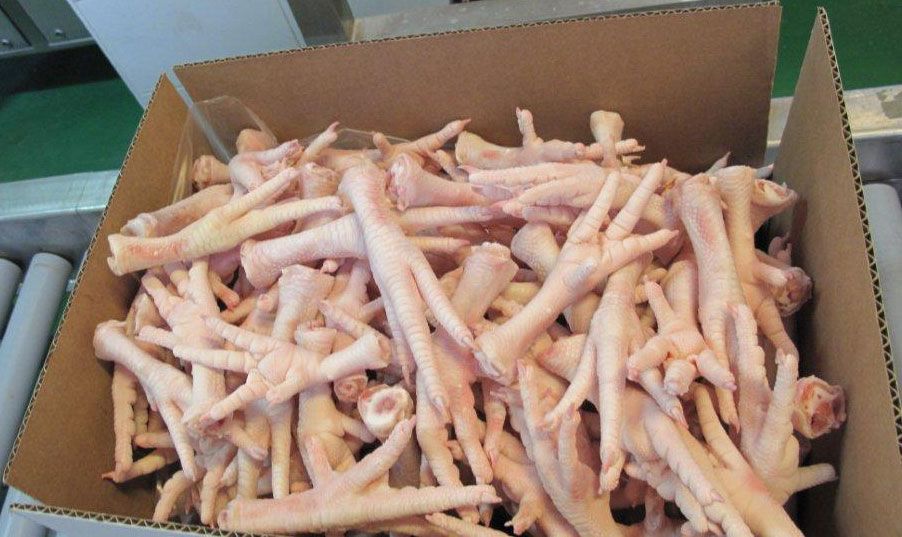 Frozen Chicken Feet Paws