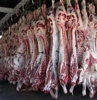 Halal Fresh Frozen Lamb Meat