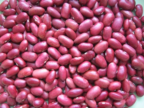 kidney beans