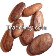 cocoa beans