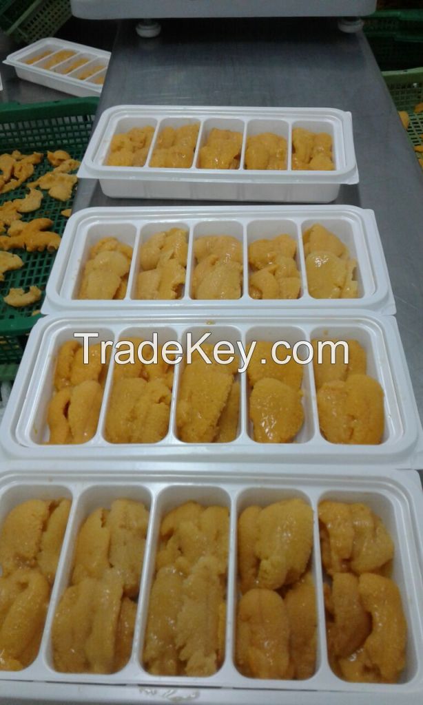 Sea Urchin Roe