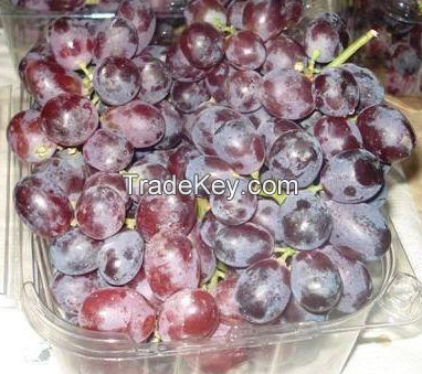 Fresh Grapes