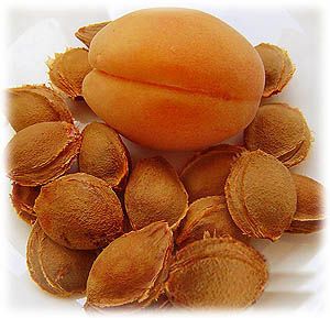 Bitter Apricot Kernels