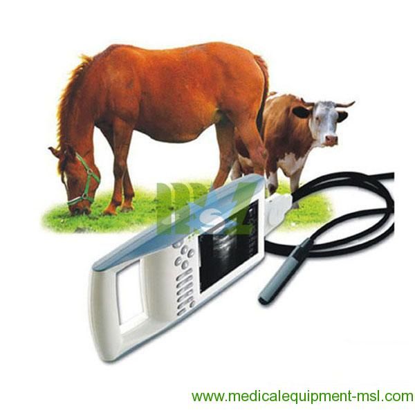 Animal ultrasound machine used in cattle, equine, etc. - MSLVU02