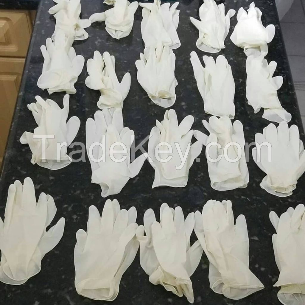 Surgical Gloves - Disposable Surgical vinyl Exam Wholesale Examination Work Safety Hand Medical Gloves 