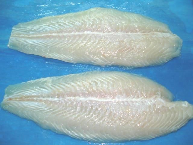 Pangasius