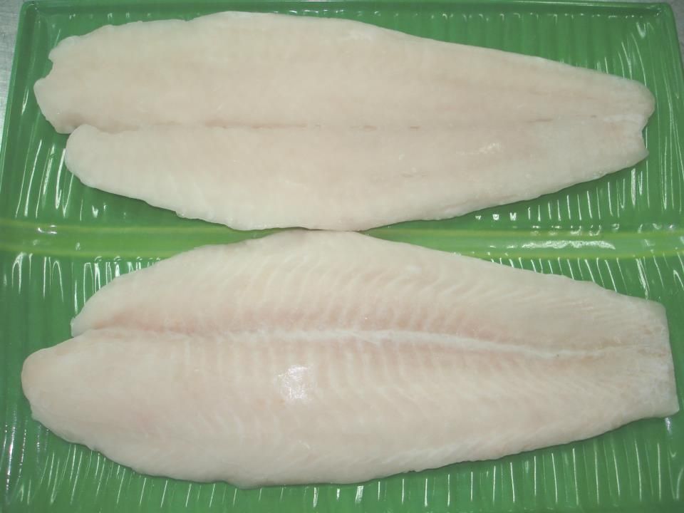 Pangasius