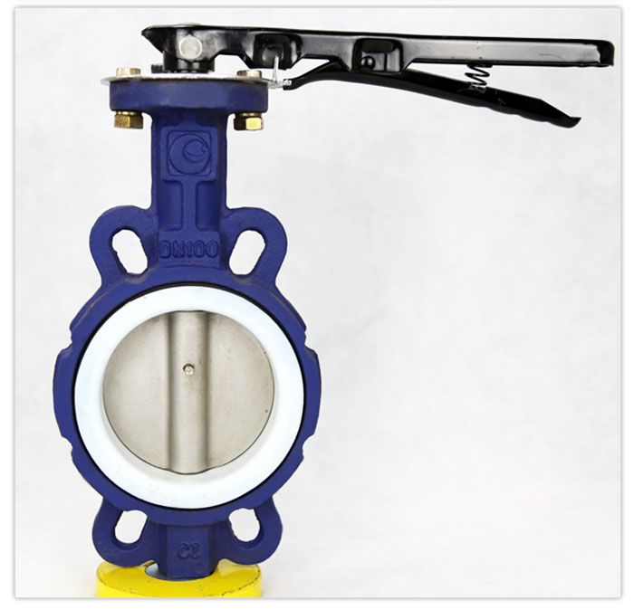 PTFE Butterfly Valve