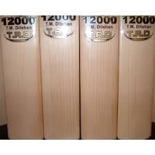 CA PLUS 12000 TRD CRICKET BAT