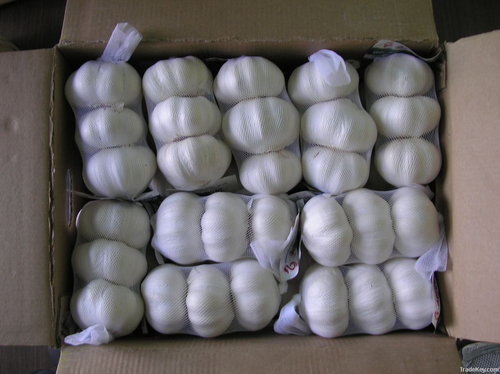 2014 new crop chinese normal white fresh garlic