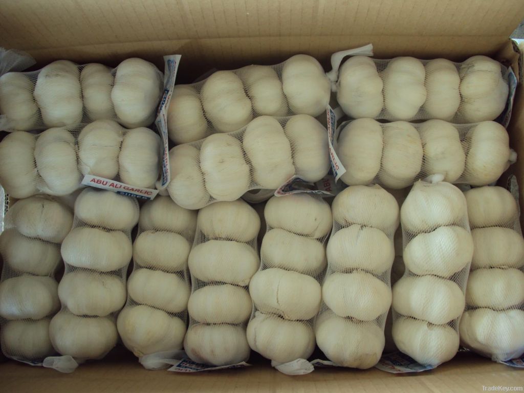 2014 new crop chinese pure white garlic