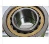 Cylindrical Roller Bearing