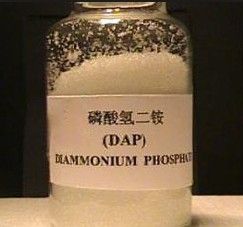 Diammonium phosphate, DAP