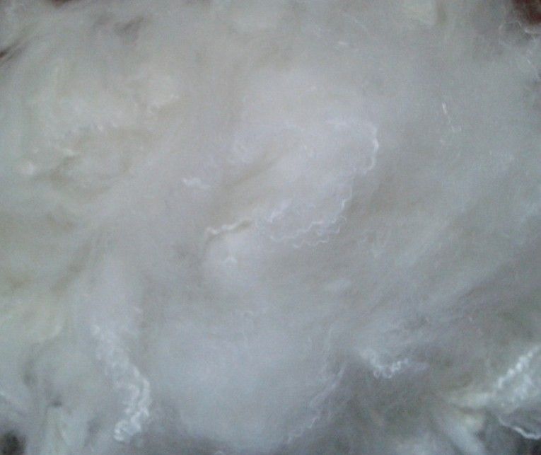 Polyester Staple Fiber PSF HCS 1.5D*38mm