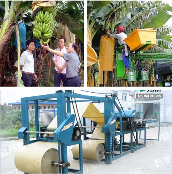 Banana cover bag making machine  YSG-19