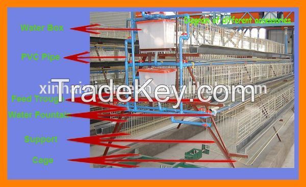 poultry farm equipment