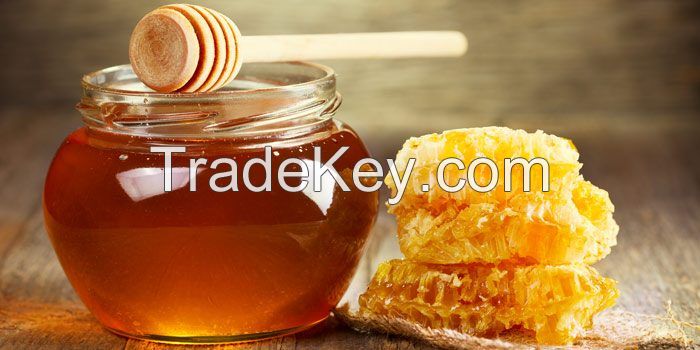 Nature Honey For Sale 