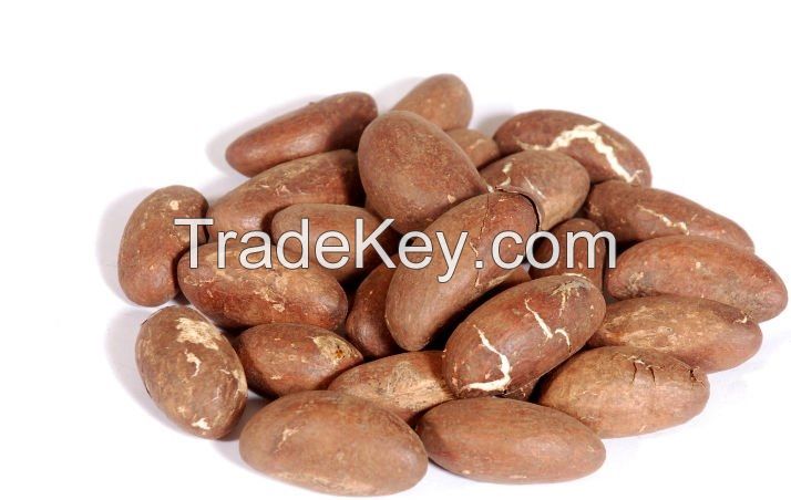 Bitter Kola Nuts