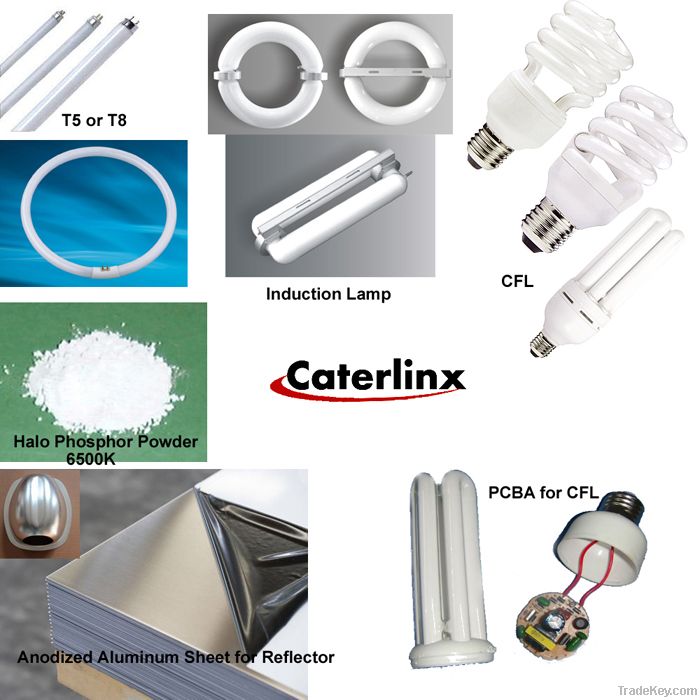 Lighting: T8/T5 Fluorescent Lamp/Compact Fluorescent Lamp (CFL)/Induct