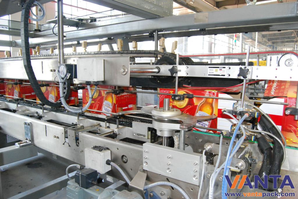 Automatic Wrap Around Carton Packaging Machine WSD-B450