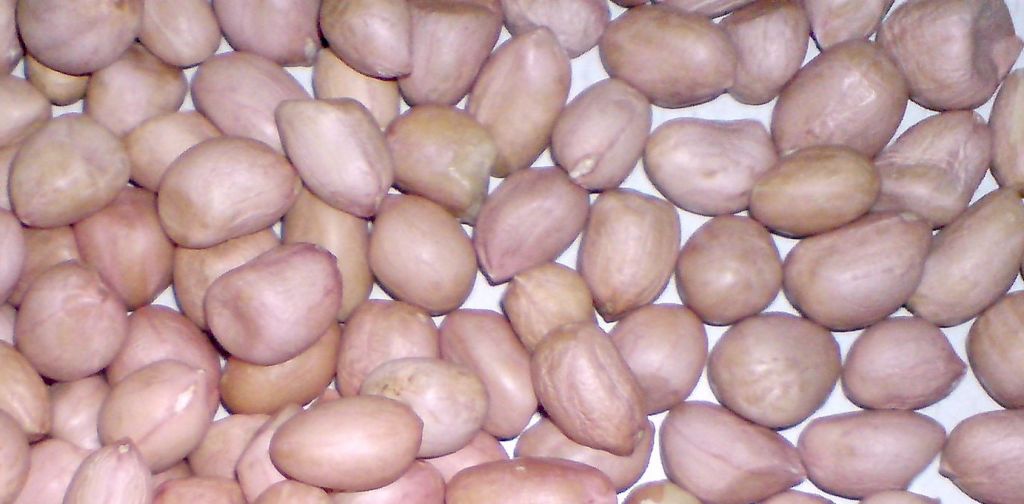 Groundnut Kernels/ peanuts /