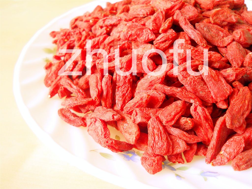 Wholesale, Ningxia Goji wolfberry from China Ningxia, Organic and Excellent