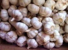 pure white garlic 