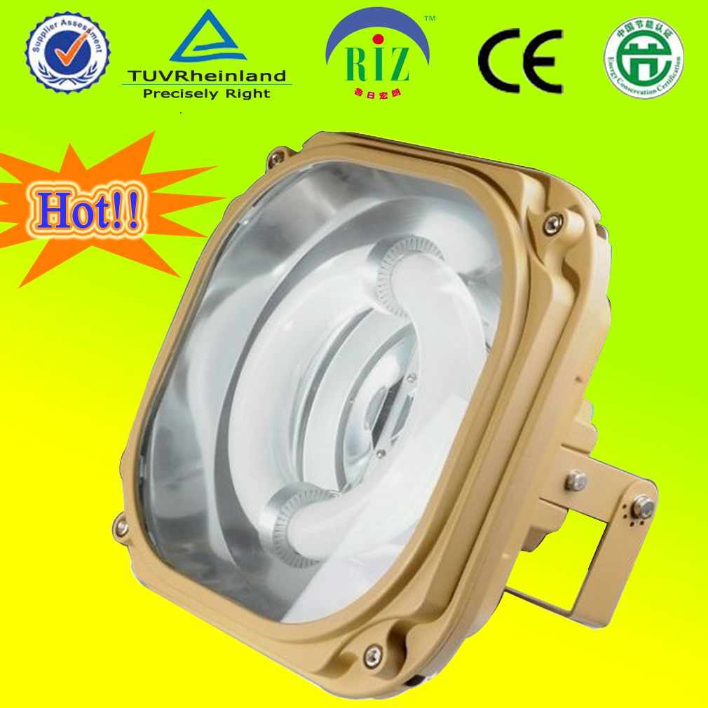 Magnetic Induction Flood Light 