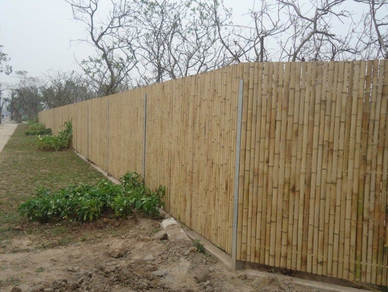 vietnam bamboo fences, bamboo fencing from vietnam