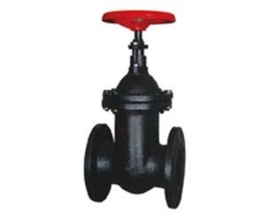 Flanged globe valve