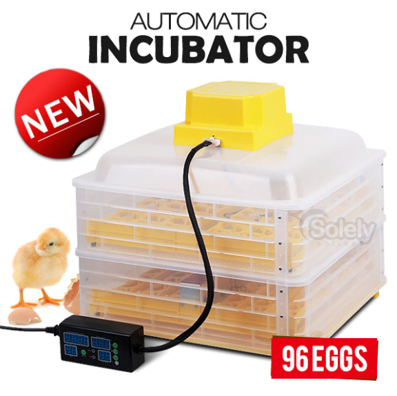 Best Price 96 Eggs Mini Chicken Egg Incubator Hatchery EW-96B for Big Sale