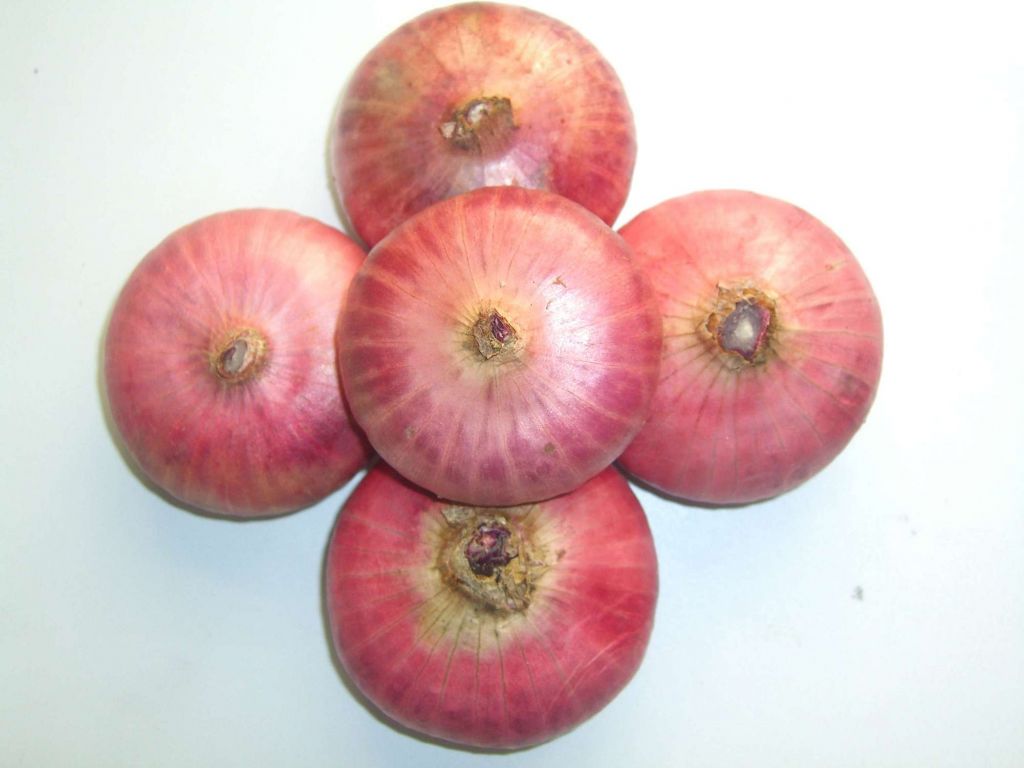 Red Onion