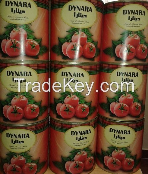 Tomato Concentrate 3 KG DYNARA 